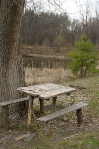 SAM_3161.JPG