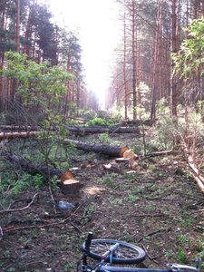 IMG_0260.jpg