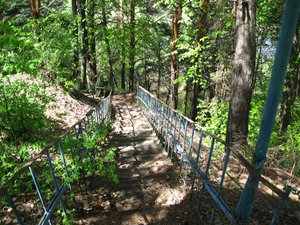 IMG_0276.jpg