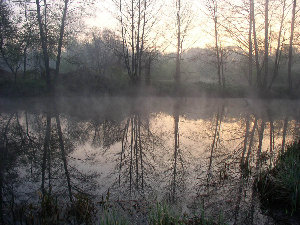 P4130047.jpg