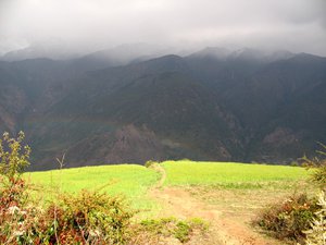 IMG_0553.jpg