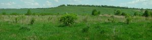 панорамка