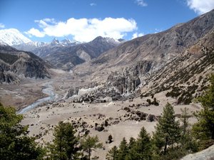 IMG_0517.jpg
