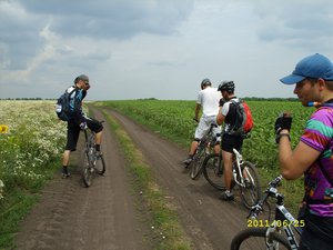 в поле рядом с камнем