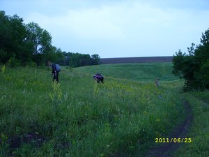 поедание земляники