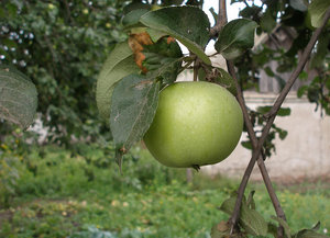 P7300600 copy.jpg
