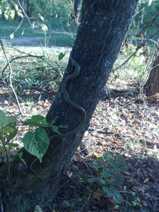 070820112703.jpg
