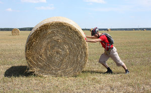 2011_08_08_3062_a.jpg