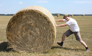 2011_08_08_3063_a.jpg