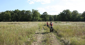 2011_08_08_3082_a.jpg