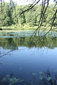 2011_08_09_3090_a.jpg