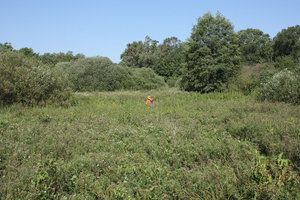 2011_08_09_3093_a.jpg