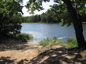 IMG_2121.JPG