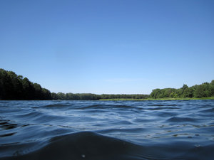 IMG_2173.JPG