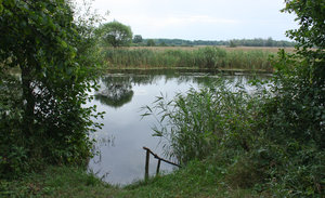 2011_08_16_3138_a.jpg