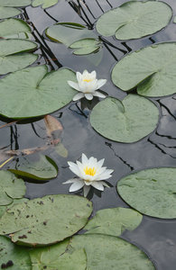 2011_08_17_3197_a.jpg