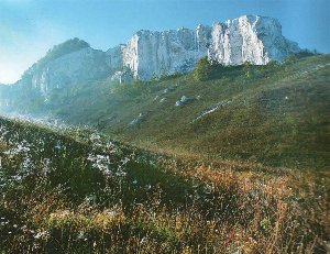 storozhevoe.jpg