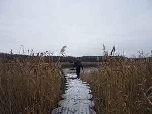 оз. Погоново