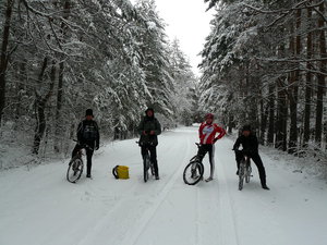 P1180323-2.jpg