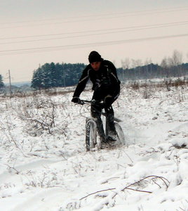 P1180393-2.jpg