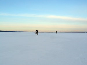 P1180528-2.jpg