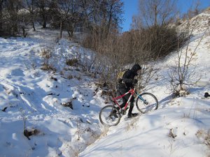 IMG_0894-3.jpg