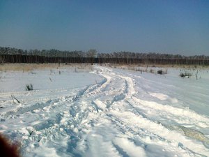дорога к поляне толкиенистов