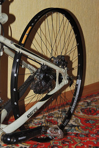 DSC_9962_1024.jpg