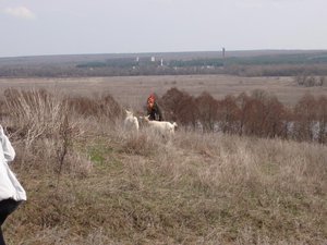 P4140301.JPG