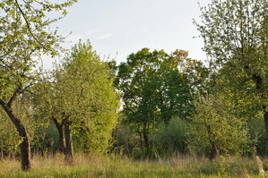 DSC_6507.JPG