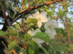 IMG_155000.jpg