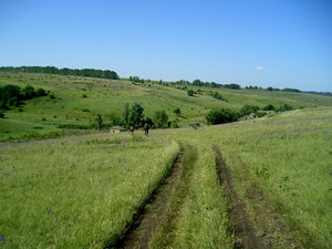 dor.jpg