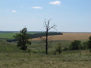 вид с левого борта балки Красной