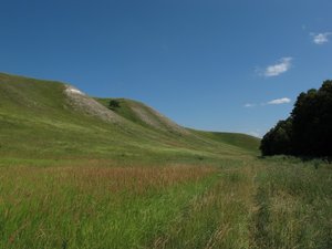 Крутцы 1