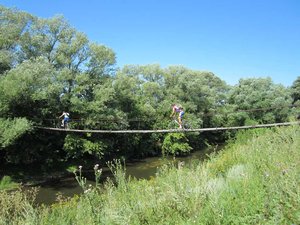 IMG_280399.jpg