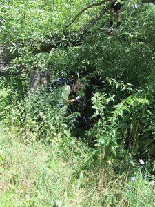IMG_285199.jpg