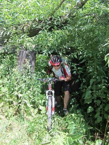 IMG_285699.jpg