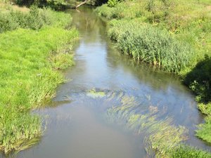 IMG_288099.jpg