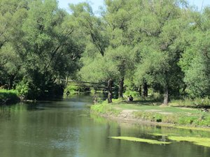 IMG_288999.jpg