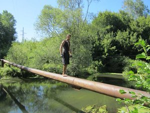 IMG_289499.jpg