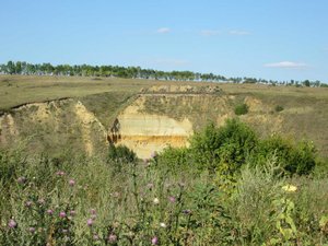 IMG_290699.jpg