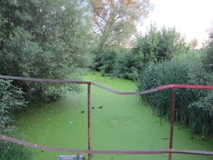 IMG_291099.jpg