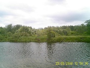 PIC_0003.JPG
