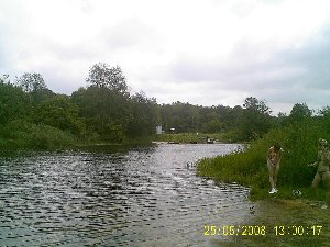 PIC_0005.JPG
