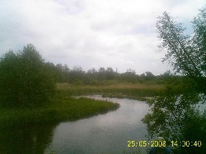 PIC_0006.JPG
