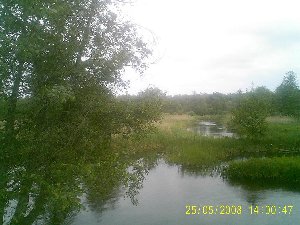 PIC_0007.JPG