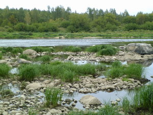 daugava1.jpg