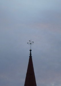 crows.jpg