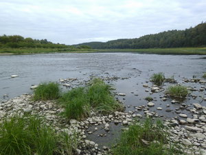 daugava2.jpg