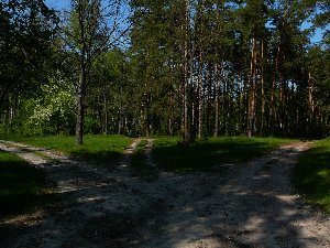 Классика, 3 дороги, направо пойдешь, в Тресвятскую попадешь, налево - К Маклоку приедешь, прямо - в Бор укатишь, если не заплутаешь.